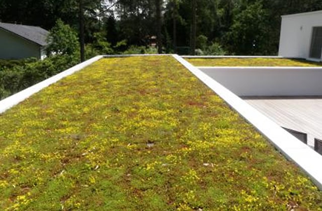 plat dak epdm solutions groendak dakterras